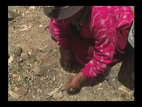 En memoria de Lucanamarca (Parte 1)