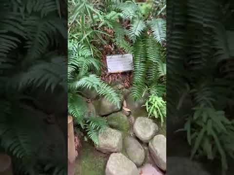 庭園の装飾としての遺跡 トピックス