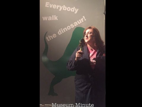 How to Pronounce Dinosaur Names