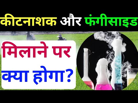 फंगीसाइड और कीटनाशकों मिलाने पर क्या होगा ।। फंगीसाइड और कीटनाशक ।। Fungicide vs insecticide