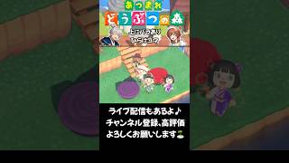 【あつ森】上にバラあり開けゴマ！ #acnh #shorts #animalcrossing #あつ森 #あつまれどうぶつの森