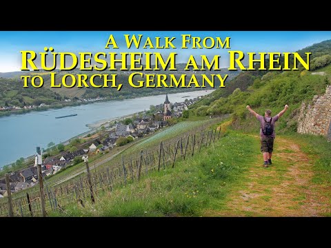 4K A walk from Rüdesheim am Rhein to Lorch. Germany 🇩🇪