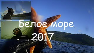 Все о рыбалке в кандалакшском заливе