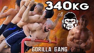 Download lagu 340KG PUSH UP!!! Workout with Stipke, Gorilla Gang - Serbia 2020 mp3