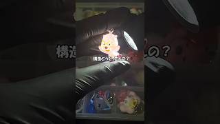 めじるしアクセサリーのガチャガチャの回数制限って、結局1人何回が正解なんだ？ #ガチャガチャ #カプセルトイ #めじるしアクセサリー