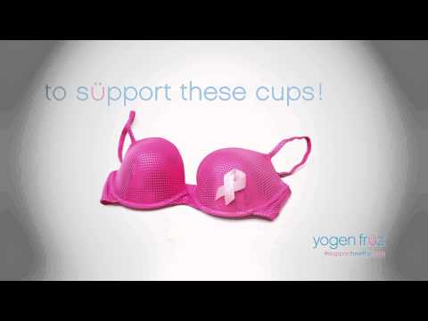 2015 YOGEN FRUZ HEALTHY CÜPS