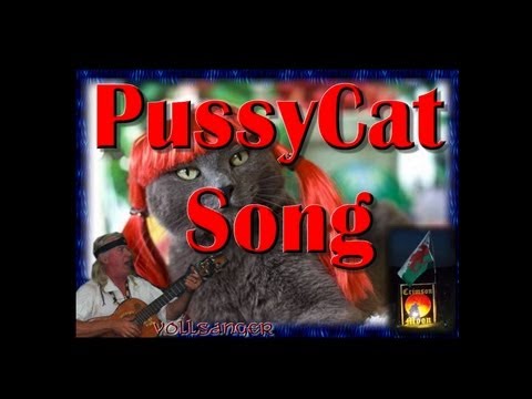 Pussycat Song - 