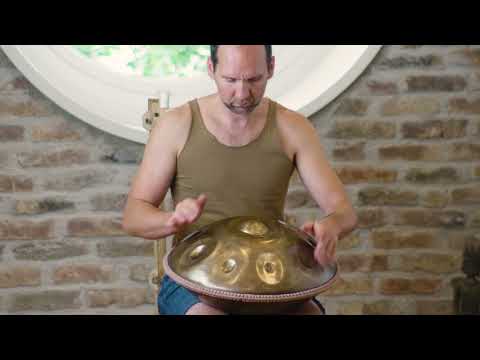 Which one do you like? - Taopan Mini Handpan 46cm Dminor & Charukesi