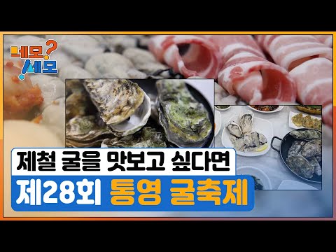 [네모세모] 제28회 통영 굴축제