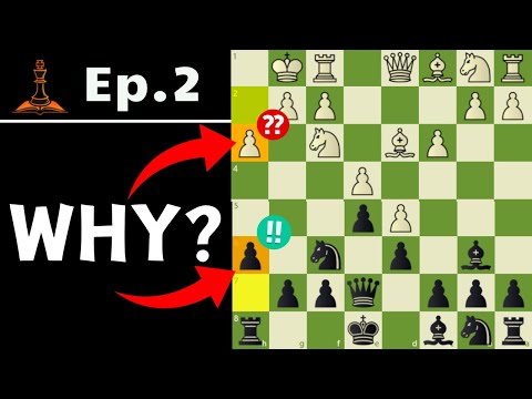 h3 is good and bad? | 6 Vital Chess Principles