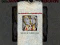 Bob James | David Sanborn - Never Enough