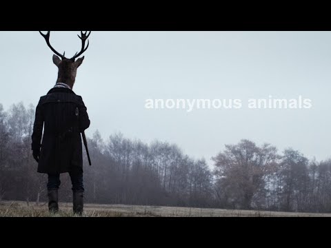 ANONYMOUS ANIMALS - Trailer 4k