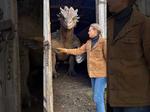 Look, this girl keeps dragons in her house. ||#shorts