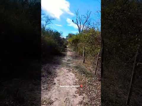 villa nueva, Santiago del Estero. caminando en el medio del monte santiagueño
