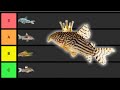 Ranking Corydoras From BEST To Worst