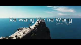 Download lagu dj mandarin ngapak || Xa wang Xie na wang mp3