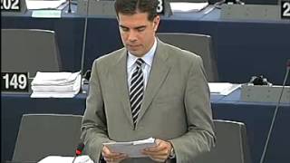 Gyürk András felszólalása a litván elnökség programjáról szóló vitán- 2013.07.03.