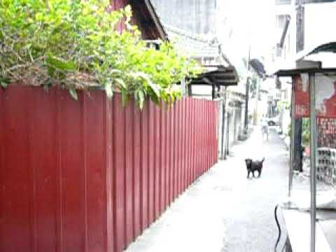 Nº 19, Lane 165, Zhongxiao Road, Distrito Sul, cidade de Taichung - Faustra 0921-994777