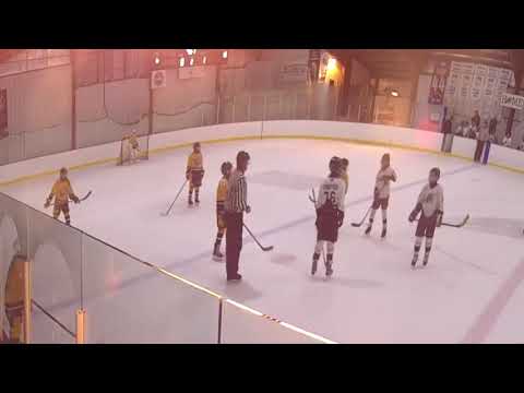PW1 Game 5 - Clip3   Vs Predators   Hess   2019 10 27   Auto Track