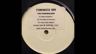 The Parkwalker  -  Deep Sensation (Dancing Sensation)