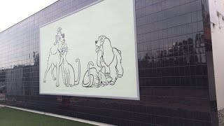 Another day at magic kingdom