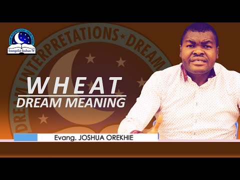 Wheat Dream Meaning - Biblical Interpretation And Symbolism