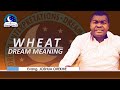 Wheat Dream Meaning - Biblical Interpretation And Symbolism