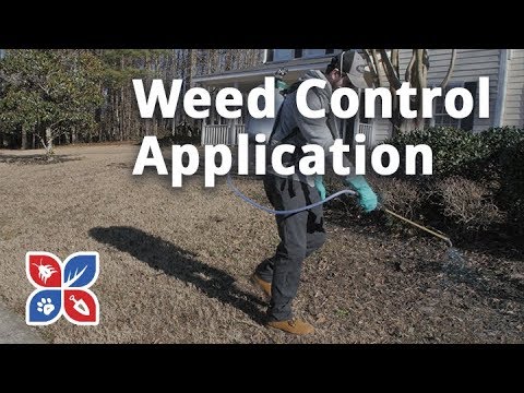  Do My Own Lawn Care - Weed Control Application Video 