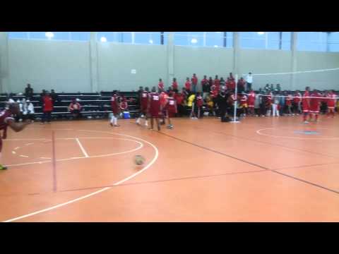 Inter-Legislative Sector Games 2014 NWPL Volleybal