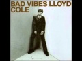 Lloyd Cole - Mr Wrong.wmv