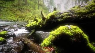 Download lagu Stive Morgan - Spirit of the Earth mp3