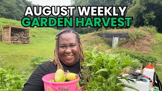 Harvesting the Garden after 4 Days Gone