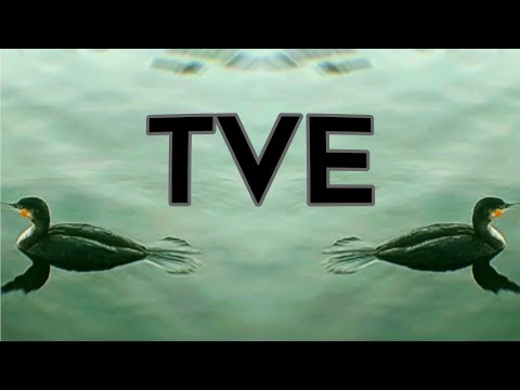 ZaPaTaZz - TVE (Official Video)
