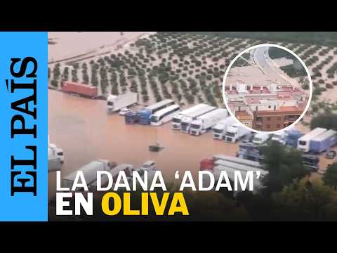 La DANA ‘Adam’ deja inundaciones en la localidad de Oliva