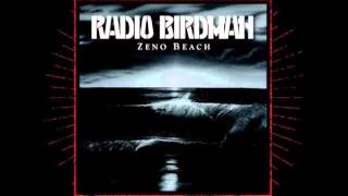 Radio Birdman - Connected