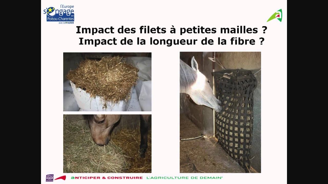 S. Peyrille, H. Roche - équi-meeting infrastructures - Influence des filets à foin à petites mailles