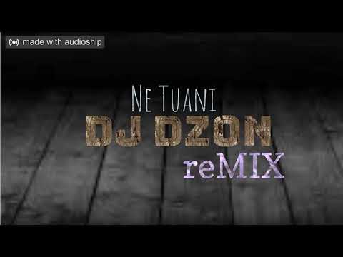 Dj Dzon - Ne Tuani - reMIX - aelandvibz (2K21)