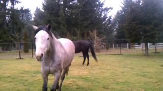 And the Thunder Rolls