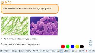Eğitim Vadisi TYT Biyoloji 6.Föy Canlılar Dünyası 2 (Bakteriler ve Arkeler) Konu Anlatım Videoları