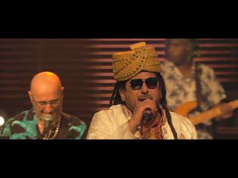 Flamengo - One tree one day one life