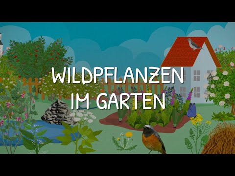 Wildpflanzen im Garten