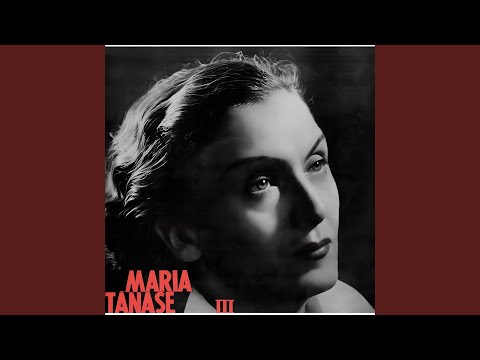 Un Țigan Avea O Casă