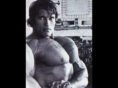 THE BEST CHEST IN HISTORY !!!!