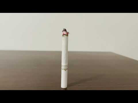 Burning Cigarette By Jason Wang   Copy