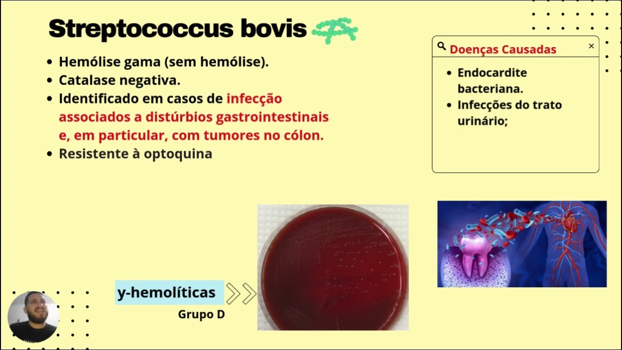 GENÊRO STREPTOCOCCUS