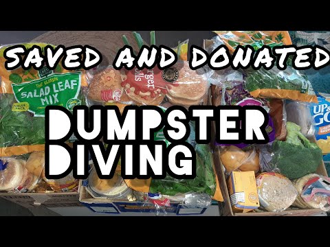 DUMPSTER DIVING AUSTRALIA | SAVING GOOD FOOD FROM THE LANDFILL  | BIN LIVING WITH BIG B