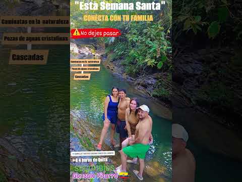 #cascadas #turismo #naturaleza #pura #viajes #youtubeshorts ubicados en Sucumbíos Gonzalo Pizarro 🇪🇨