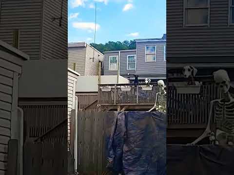 un esqueleeto en casa #miedo