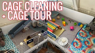 GUINEA PIG CAGE CLEANING + CAGE TOUR