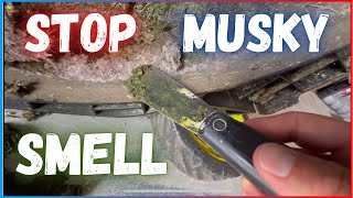 How To Stop Musky Smell In Garage or Shed